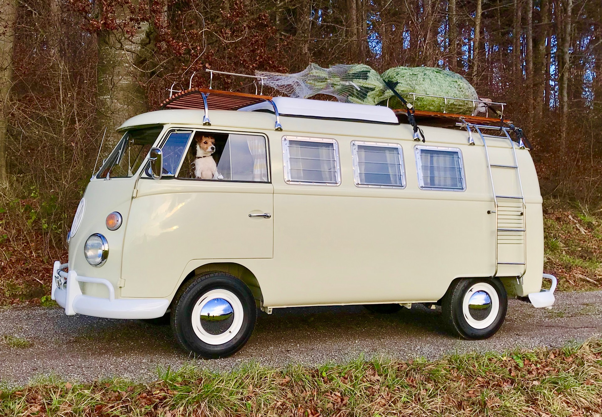 VW SO 42 Original VW Campingbus (deutsche Prod., Originalmotor)-image-3