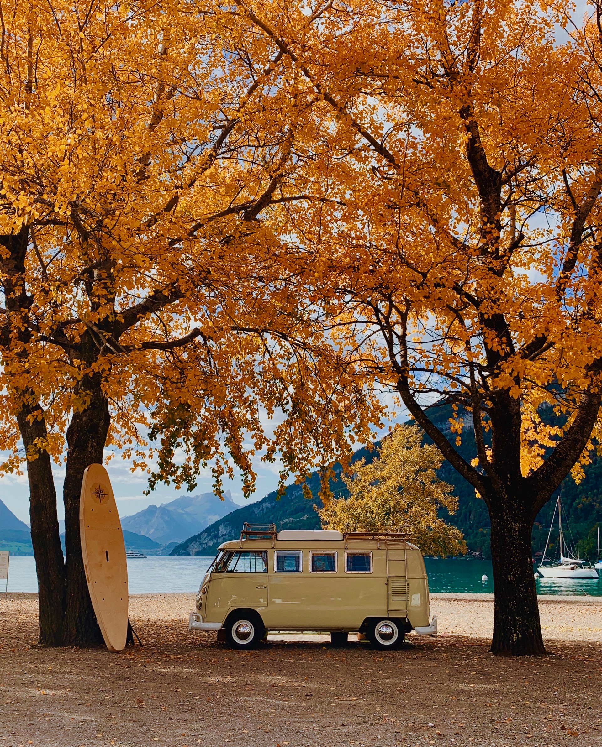 VW SO 42 Original VW Campingbus (deutsche Prod., Originalmotor)-image-0