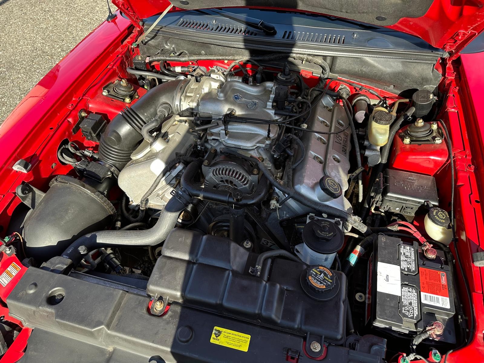 FORD Mustang Cobra Cabrio-image-8