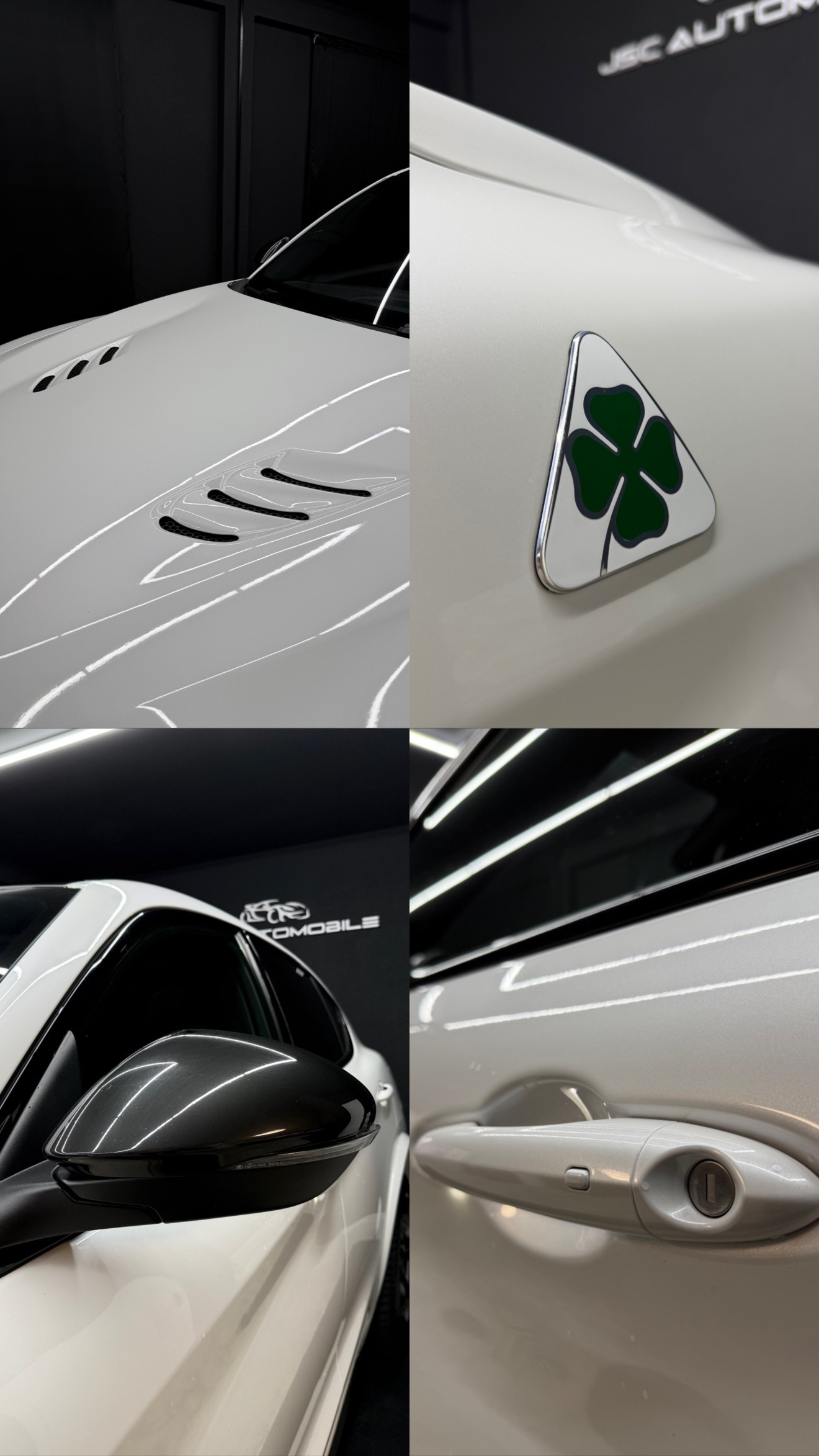 ALFA ROMEO Stelvio 2.9 V6 Quadrifoglio Q4 Automatic-image-5