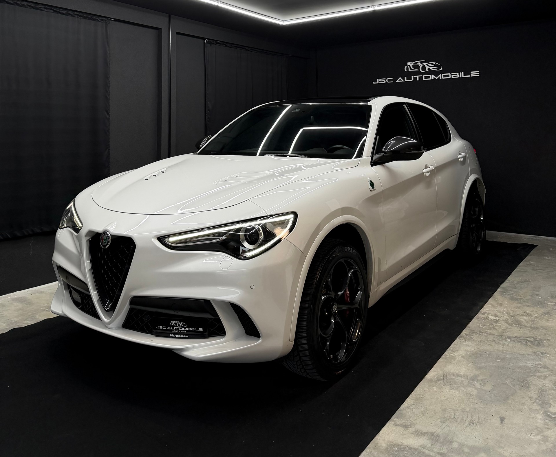 ALFA ROMEO Stelvio 2.9 V6 Quadrifoglio Q4 Automatic