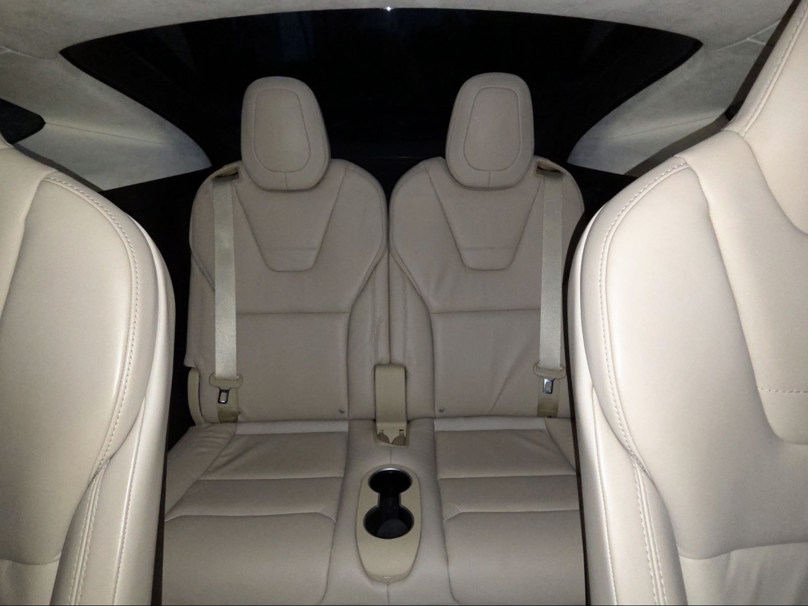 TESLA Model X 100 D Performance-image-21