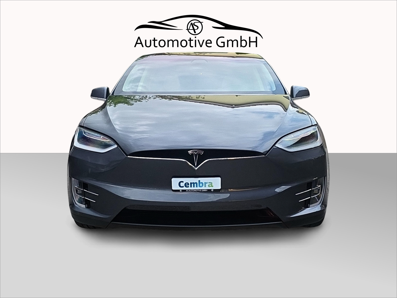TESLA Model X 100 D Performance-image-9
