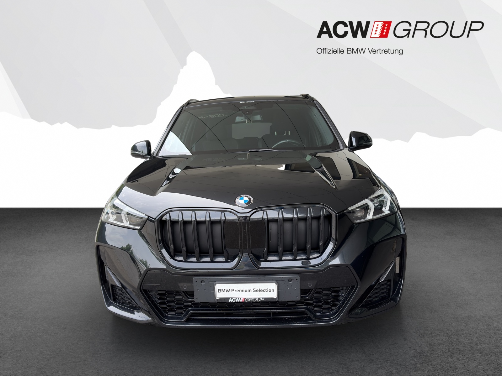 BMW X1 23i xDrive-image-7