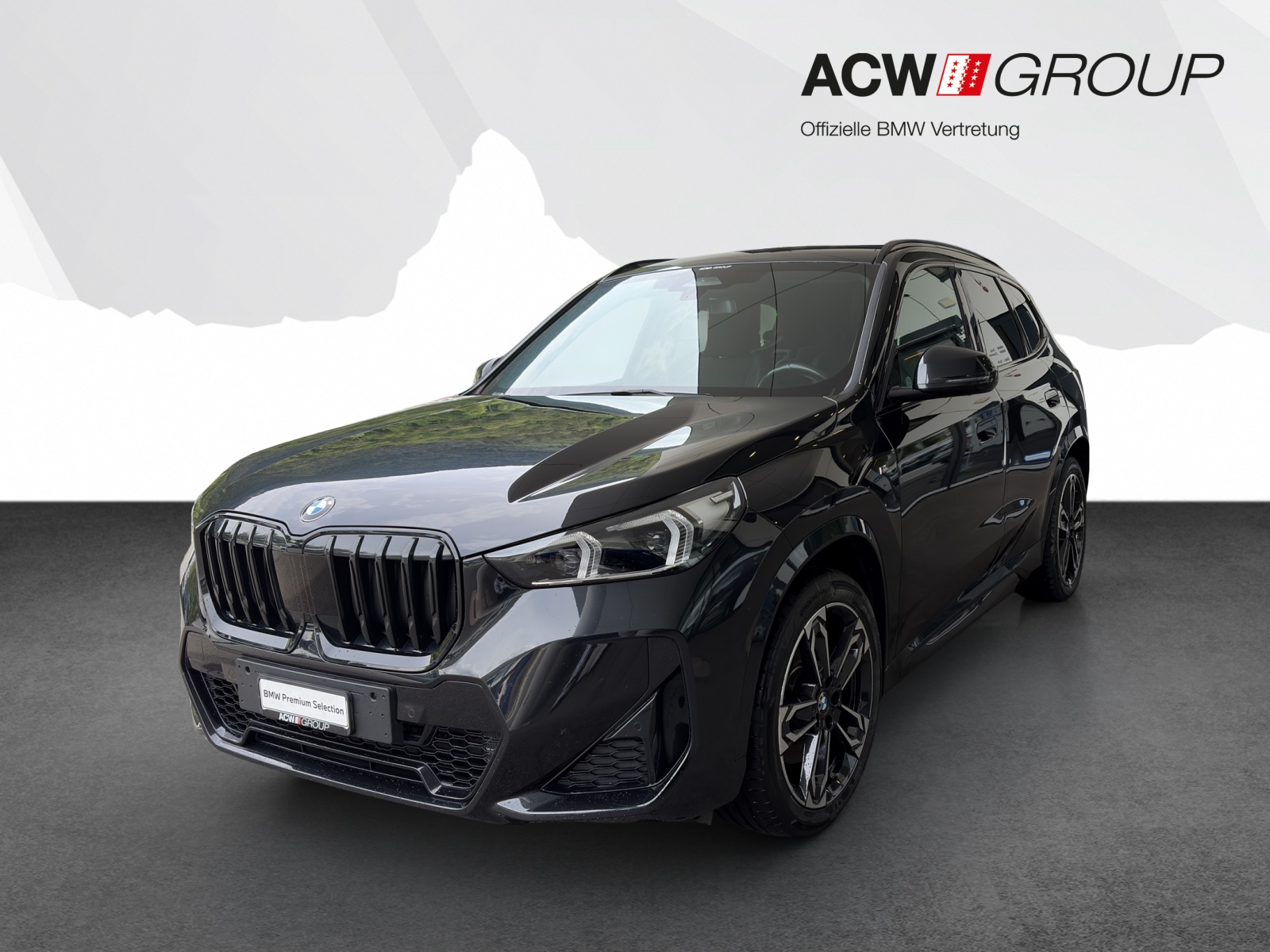 BMW X1 23i xDrive-image-0