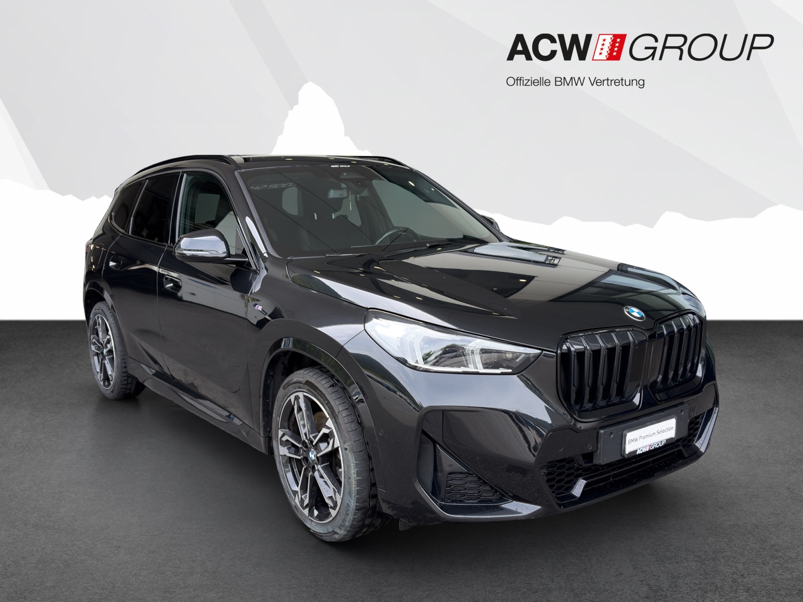 BMW X1 23i xDrive-image-6