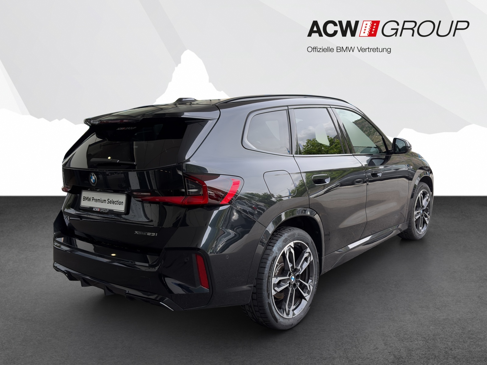 BMW X1 23i xDrive-image-4