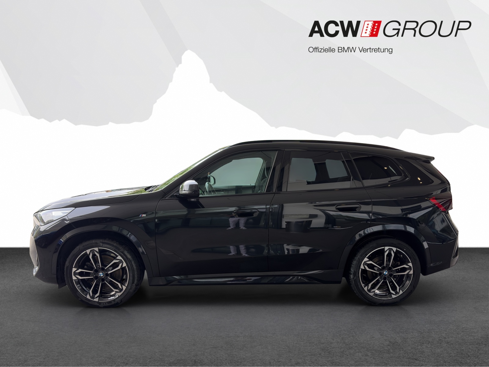 BMW X1 23i xDrive-image-1