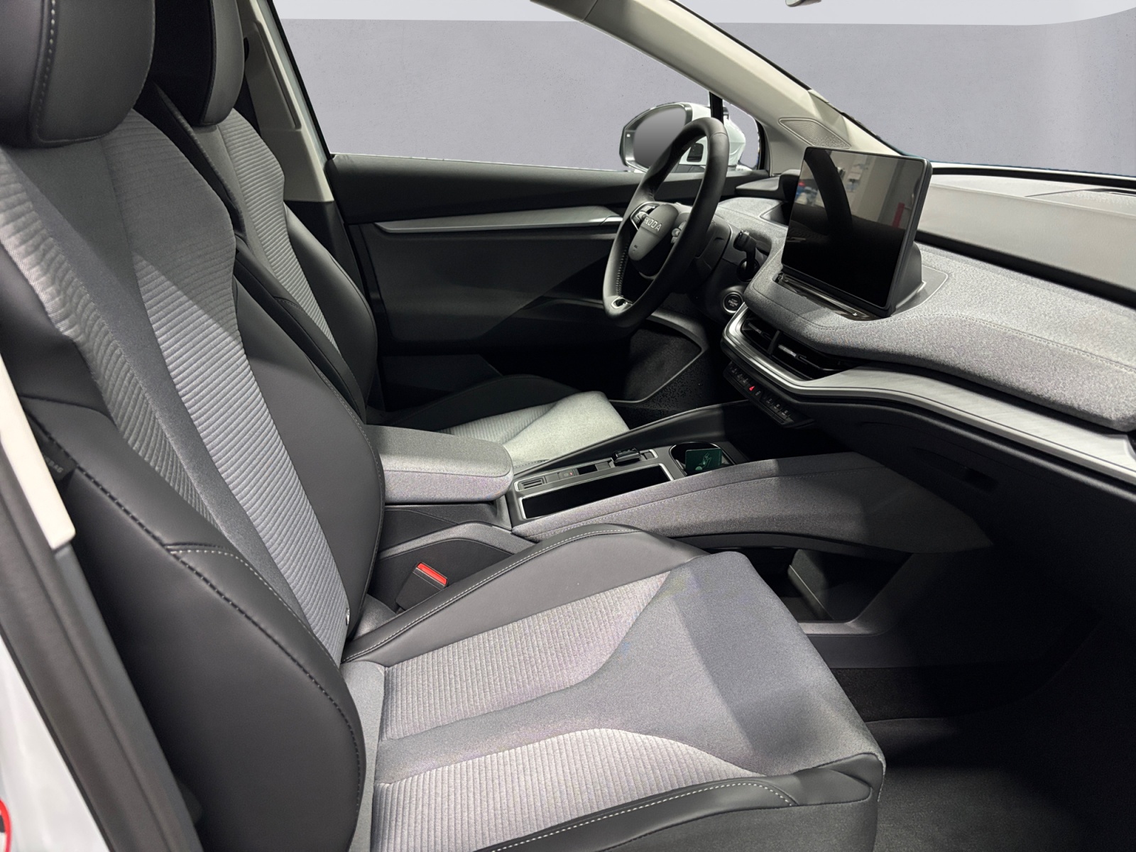 SKODA Enyaq 85x Dynamic 4x4-image-11