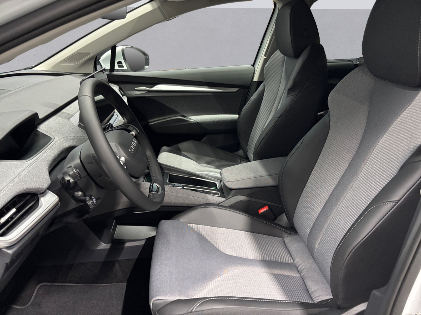 SKODA Enyaq 85x Dynamic 4x4-image-8