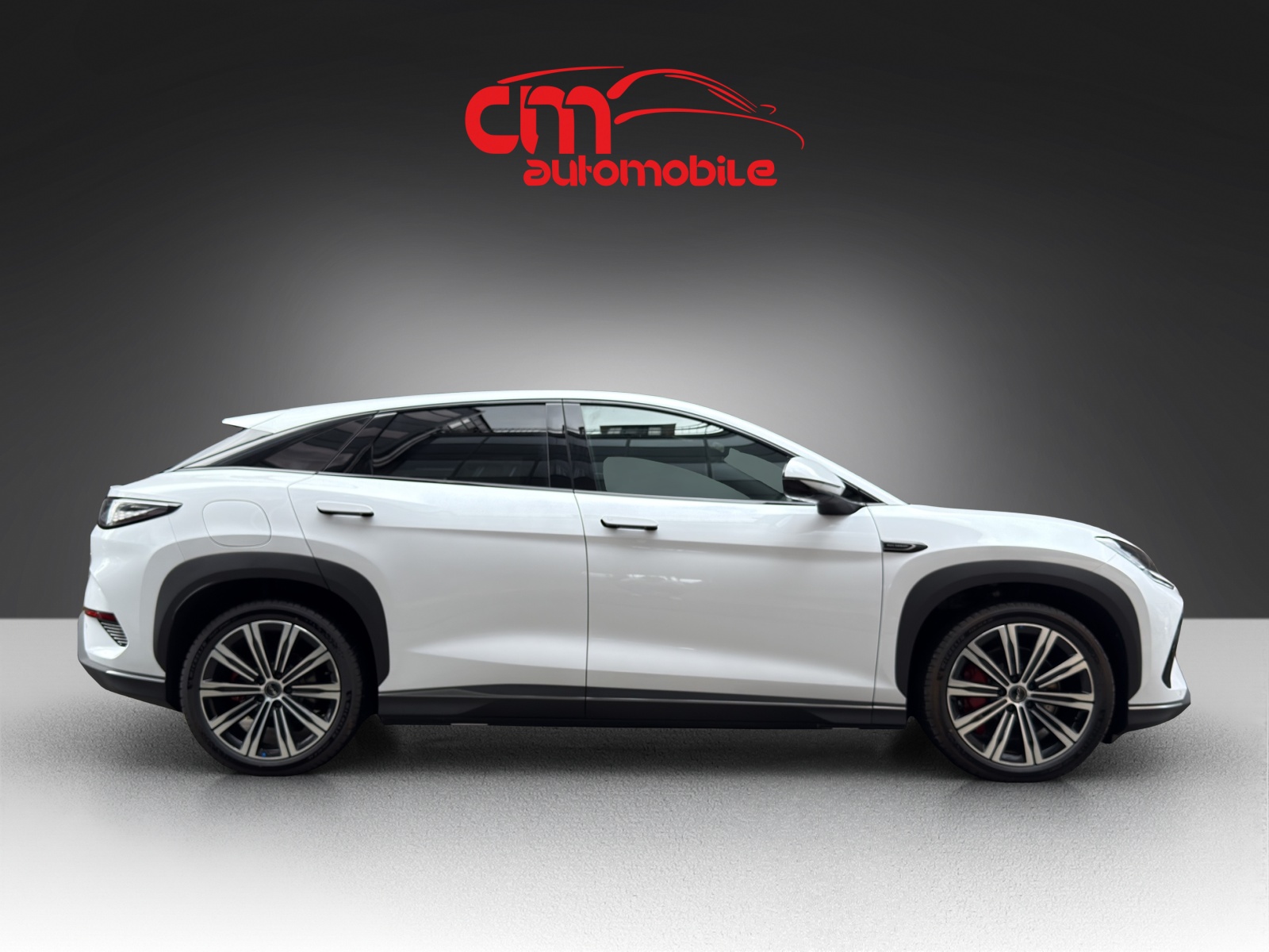 BYD Sealion 7 91,3 kWh Excellence AWD-image-6