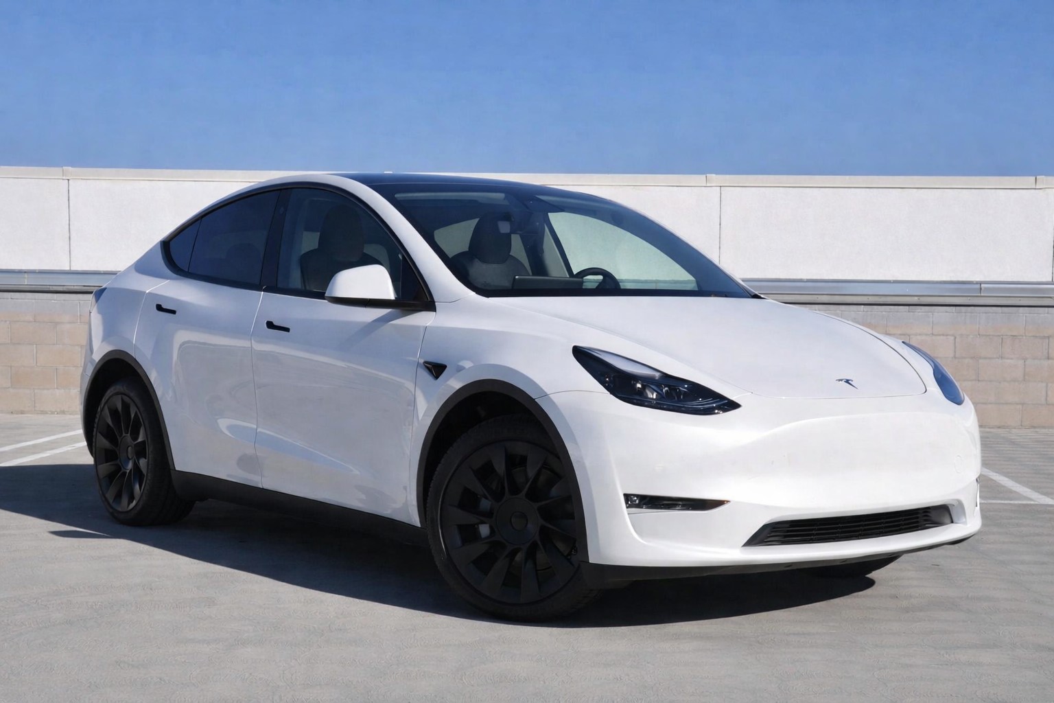 TESLA Model Y Long Range AWD-image-1