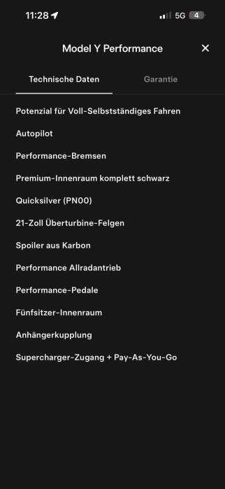 TESLA Model Y Performance Dual Motor-image-21