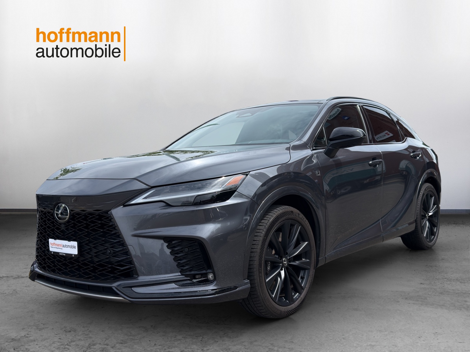 LEXUS RX 500h F Sport AWD-image-0
