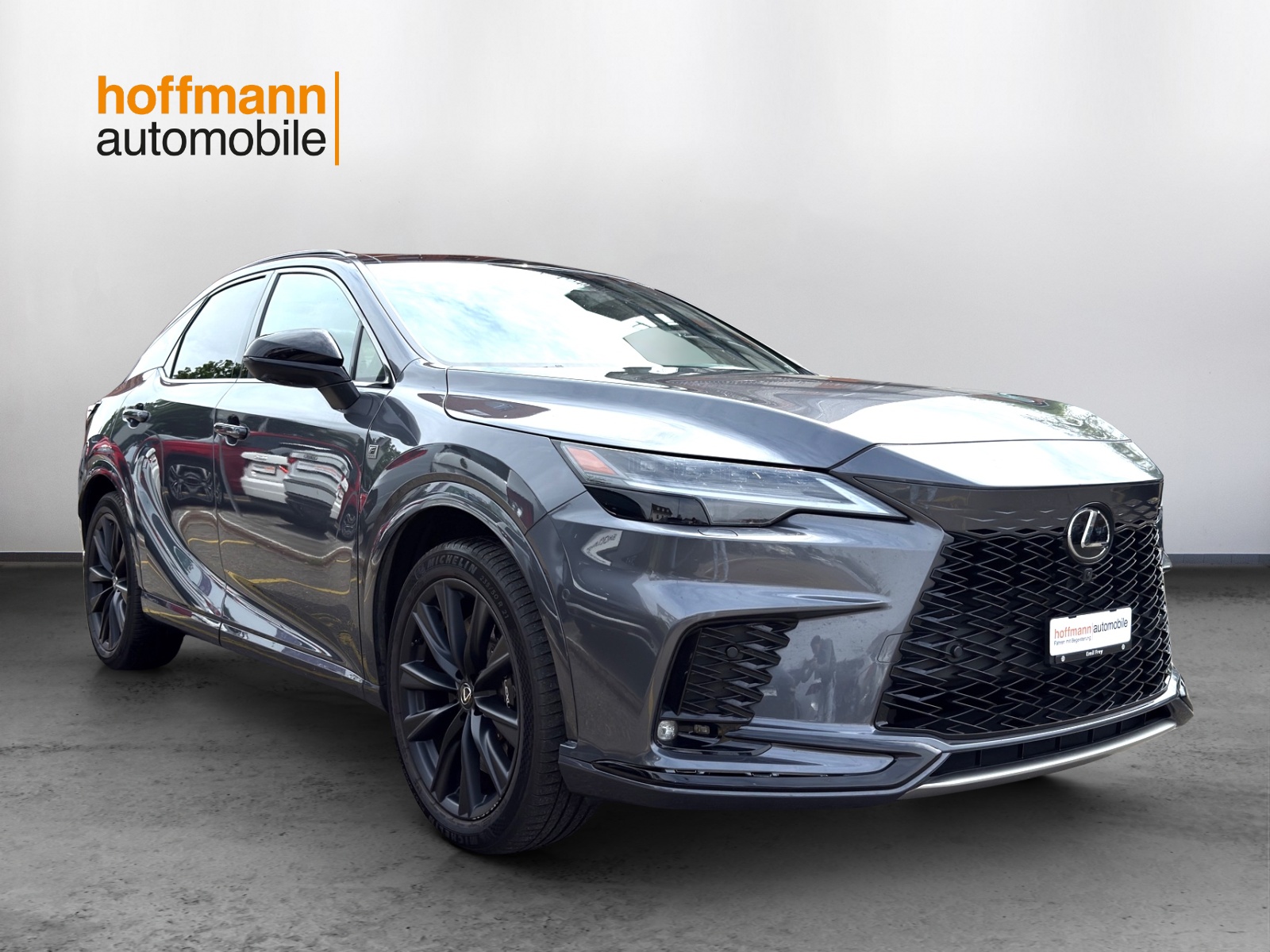 LEXUS RX 500h F Sport AWD-image-2