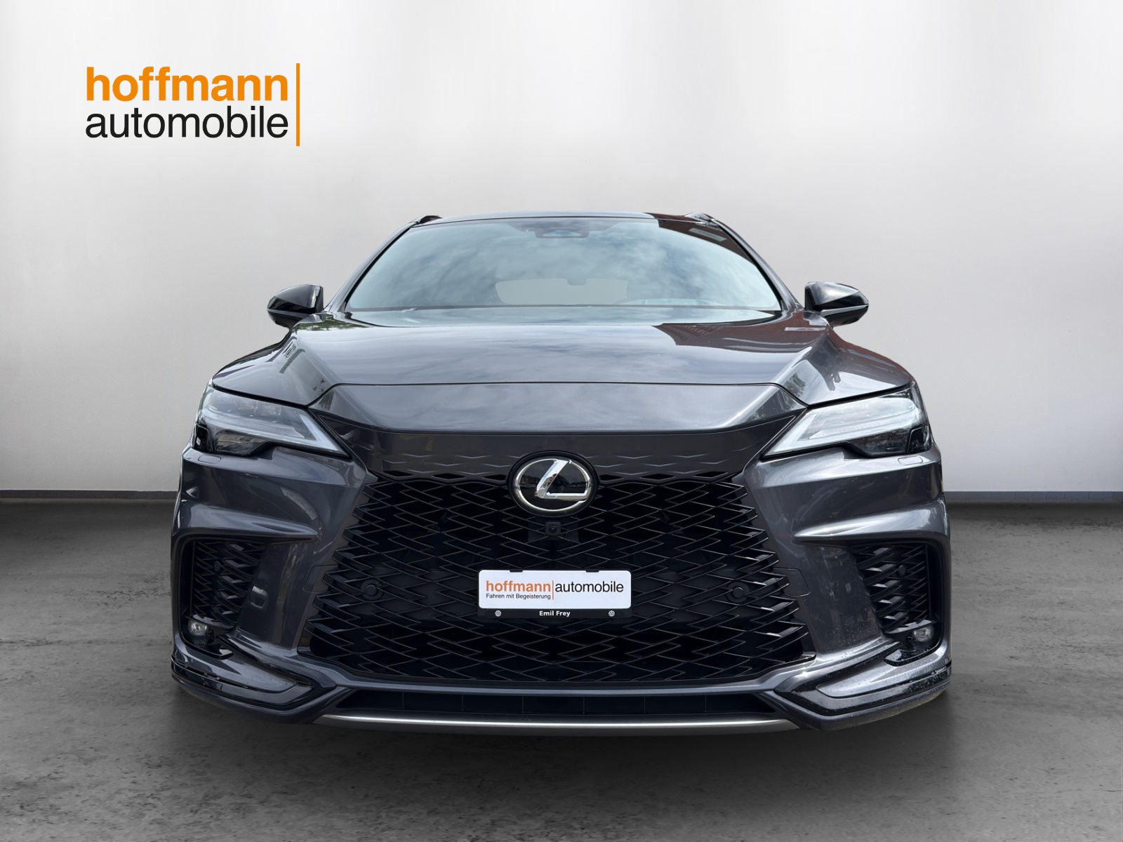 LEXUS RX 500h F Sport AWD-showroom-element-1