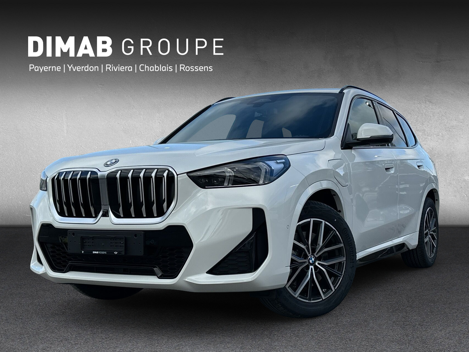 BMW X1 xDrive 25e M Sport-image-0