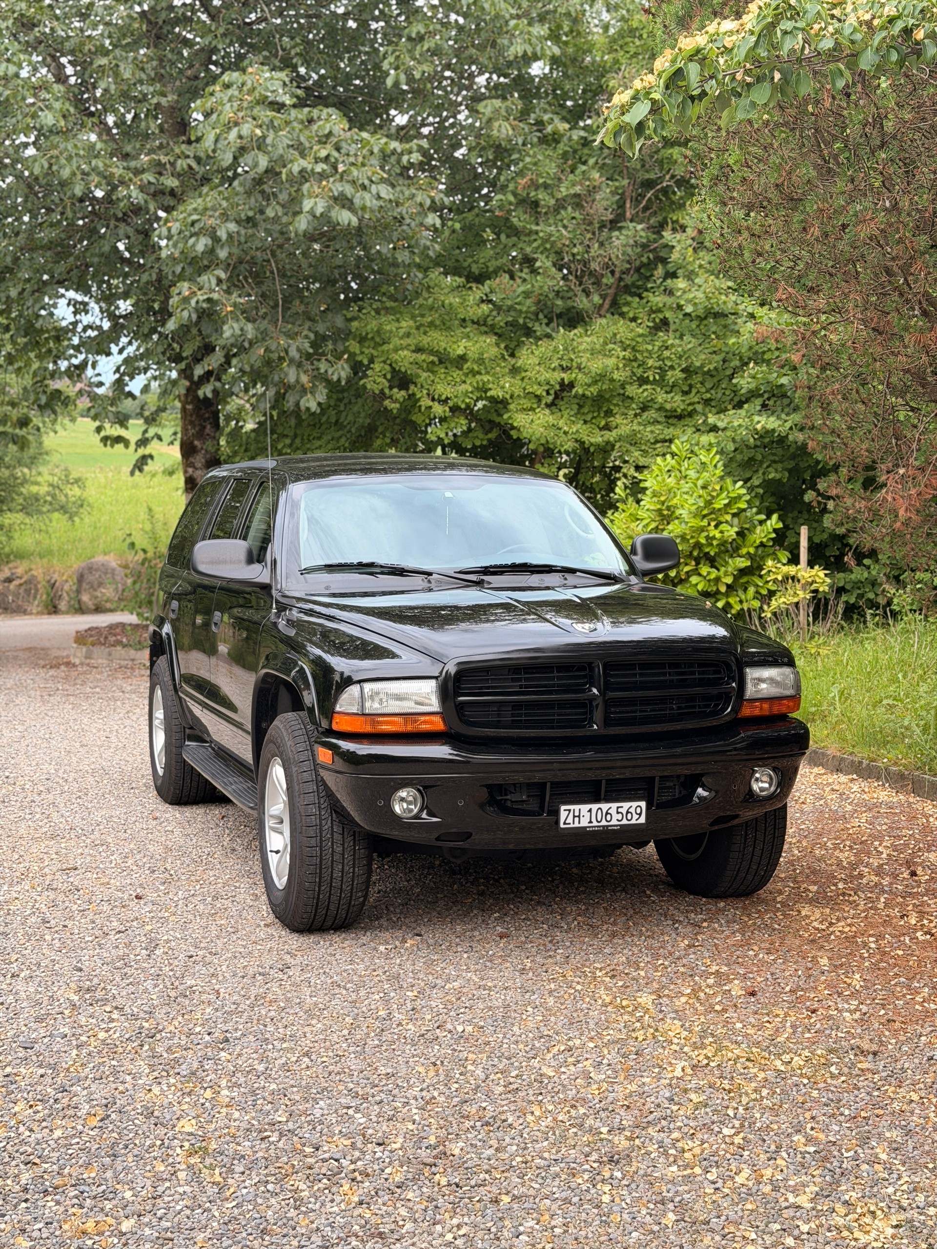 DODGE R/T-image-4