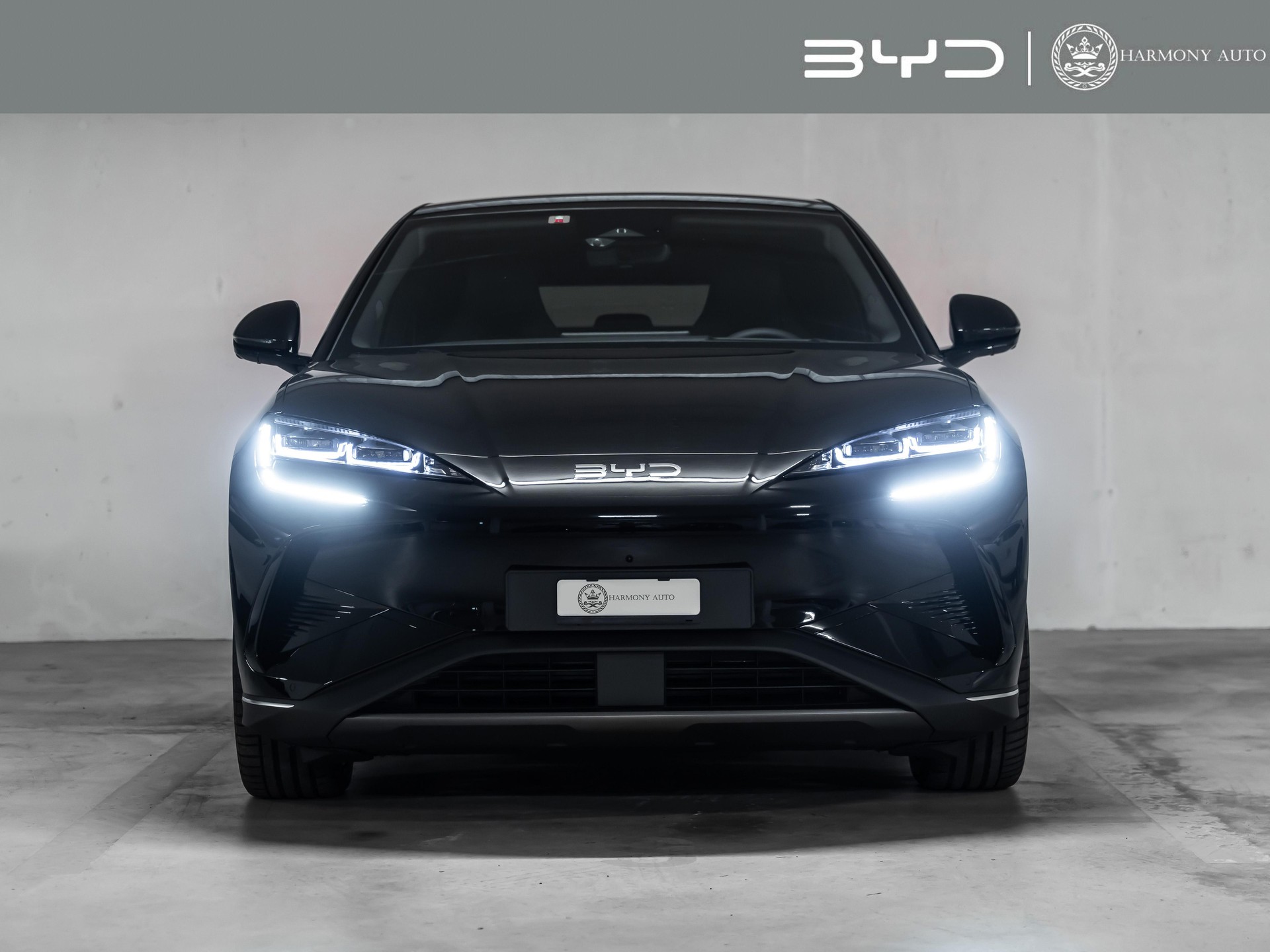 BYD Sealion 7 Excellence AWD-image-0