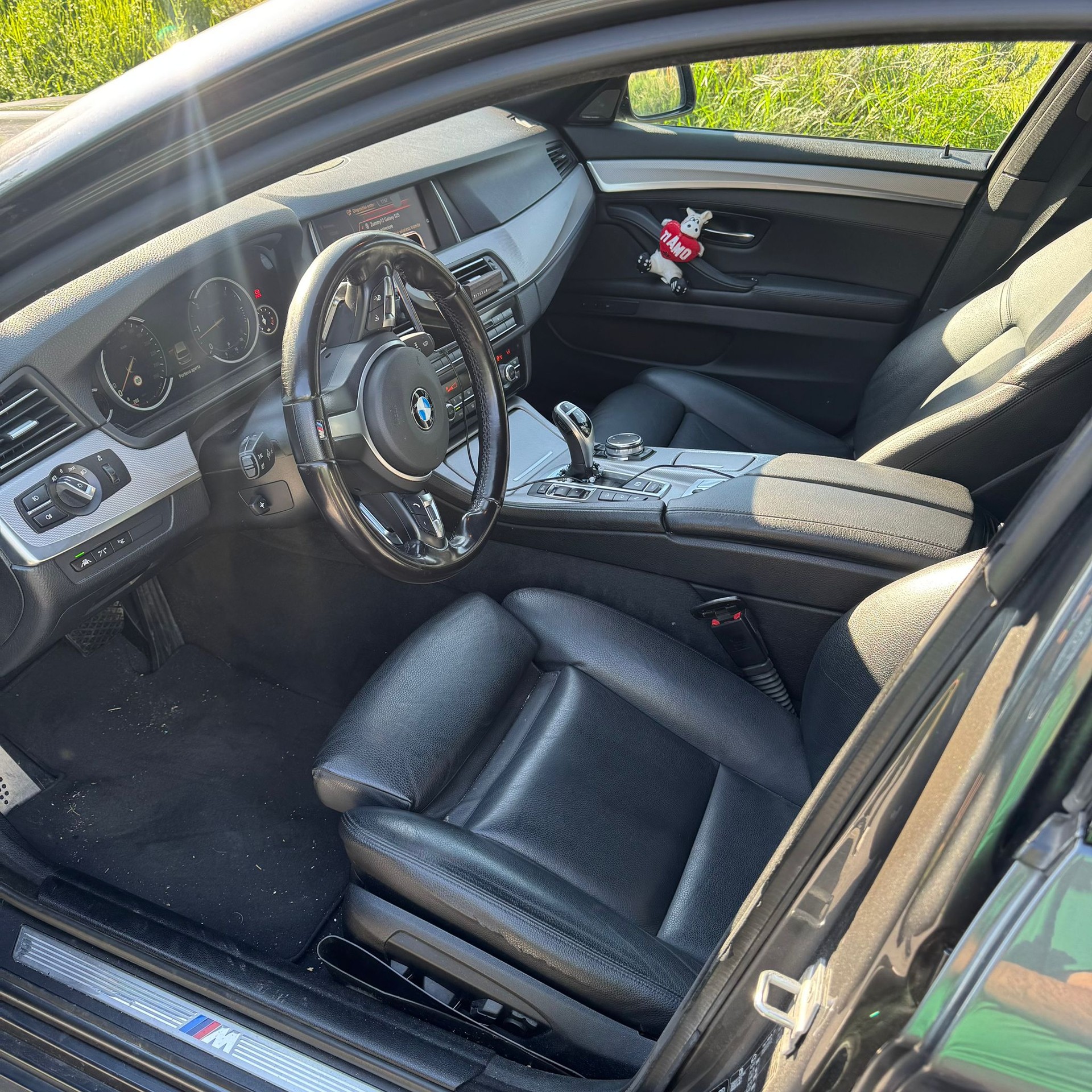 BMW 530d xDrive-image-12