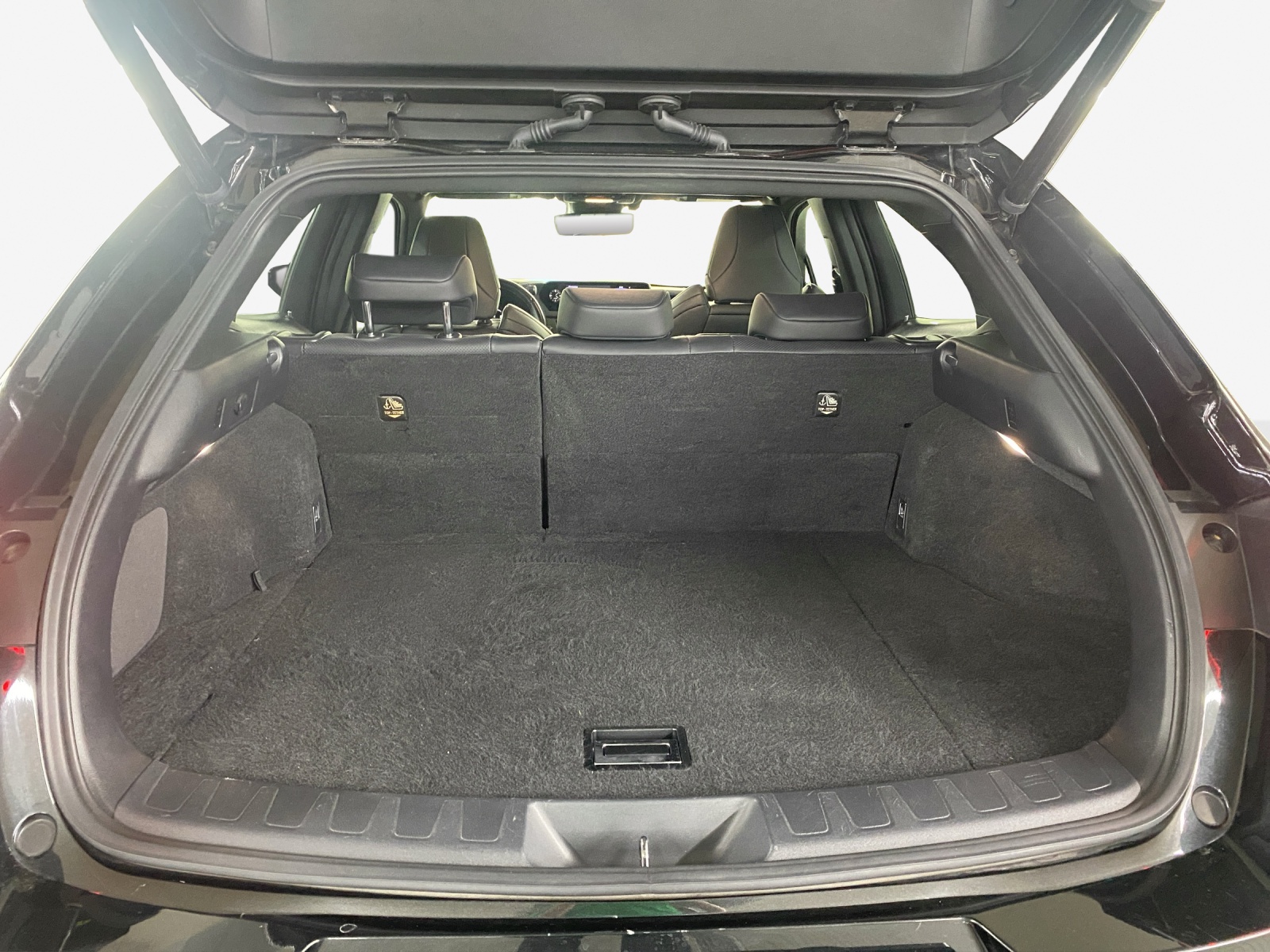 LEXUS UX 250h F Sport AWD Automatic-image-12