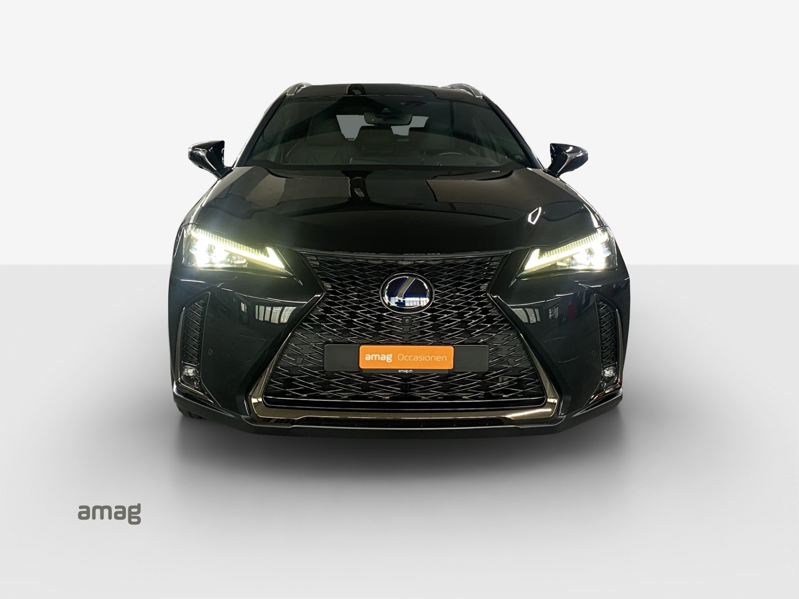 LEXUS UX 250h F Sport AWD Automatic-image-6