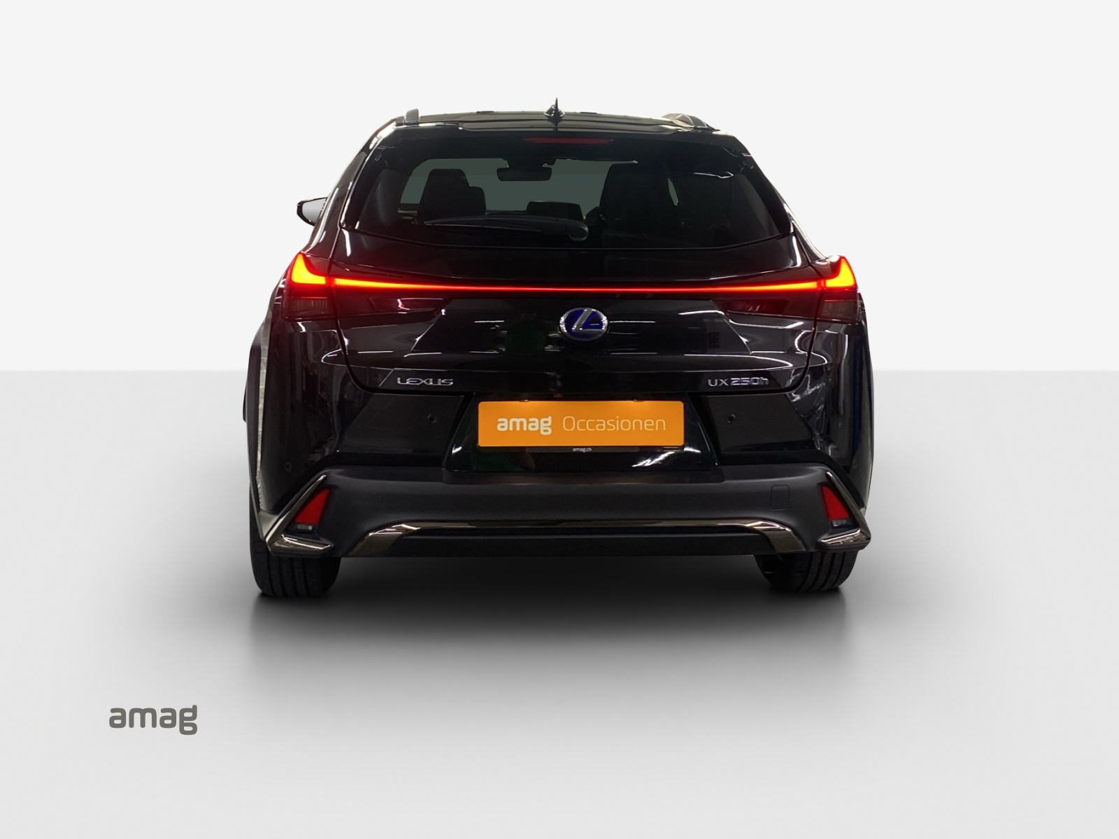 LEXUS UX 250h F Sport AWD Automatic-showroom-element-3