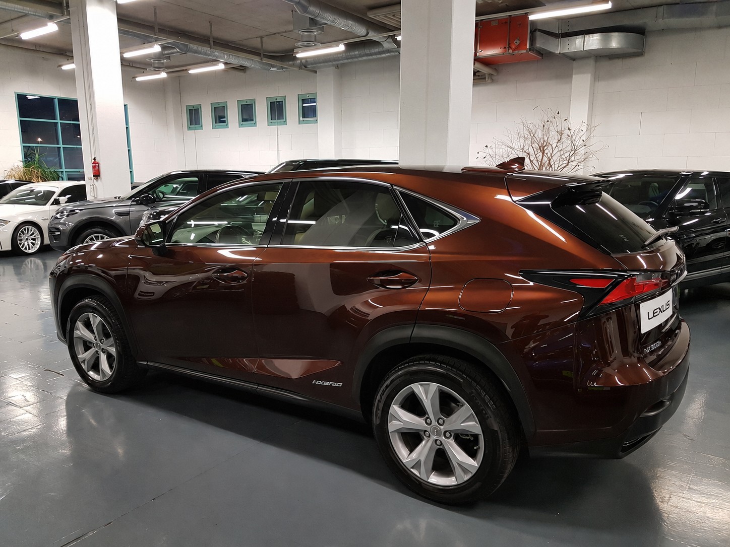 LEXUS 300h Excellence Vollhybrid-image-1