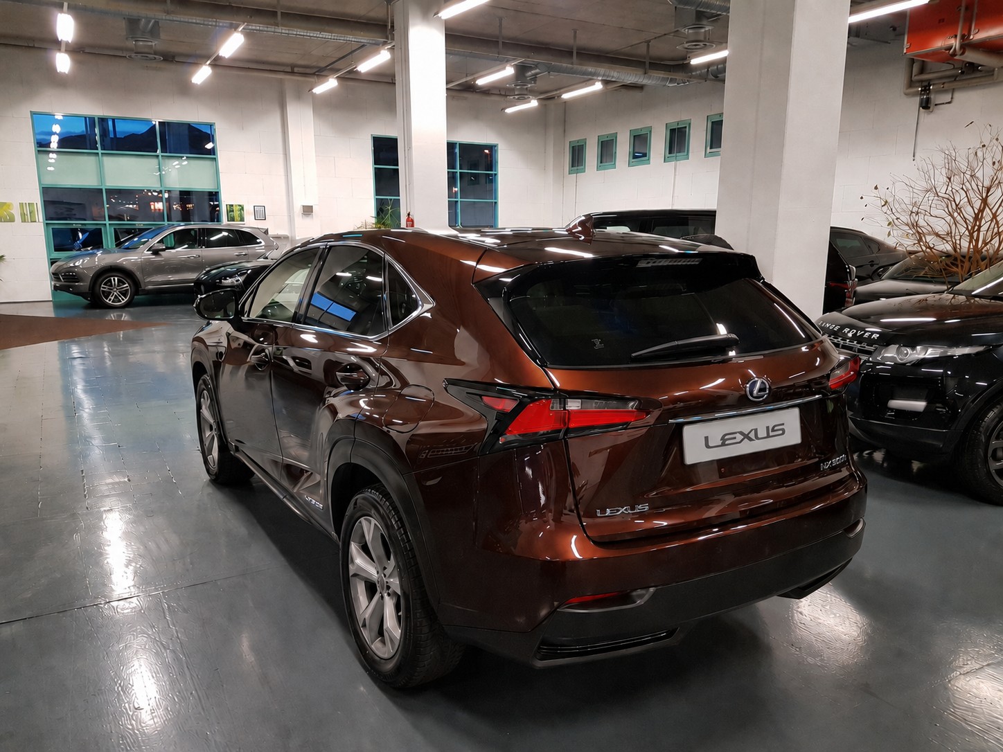 LEXUS 300h Excellence Vollhybrid-image-2
