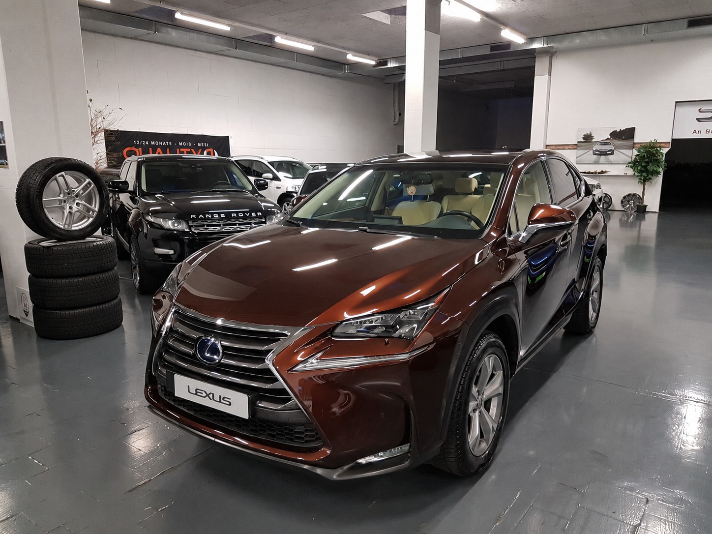 LEXUS 300h Excellence Vollhybrid-image-0