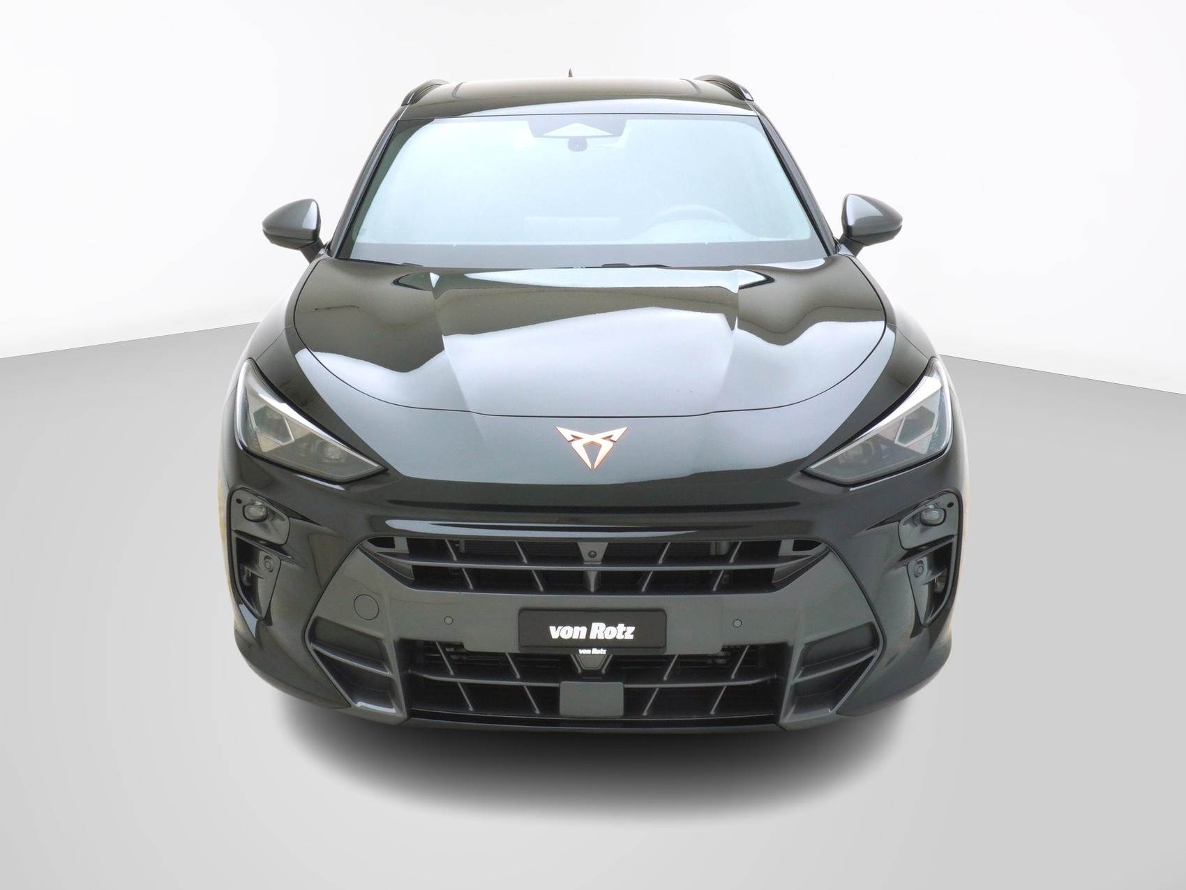 CUPRA Terramar 2.0 TSI VZ Performance 4Drive DSG-image-6