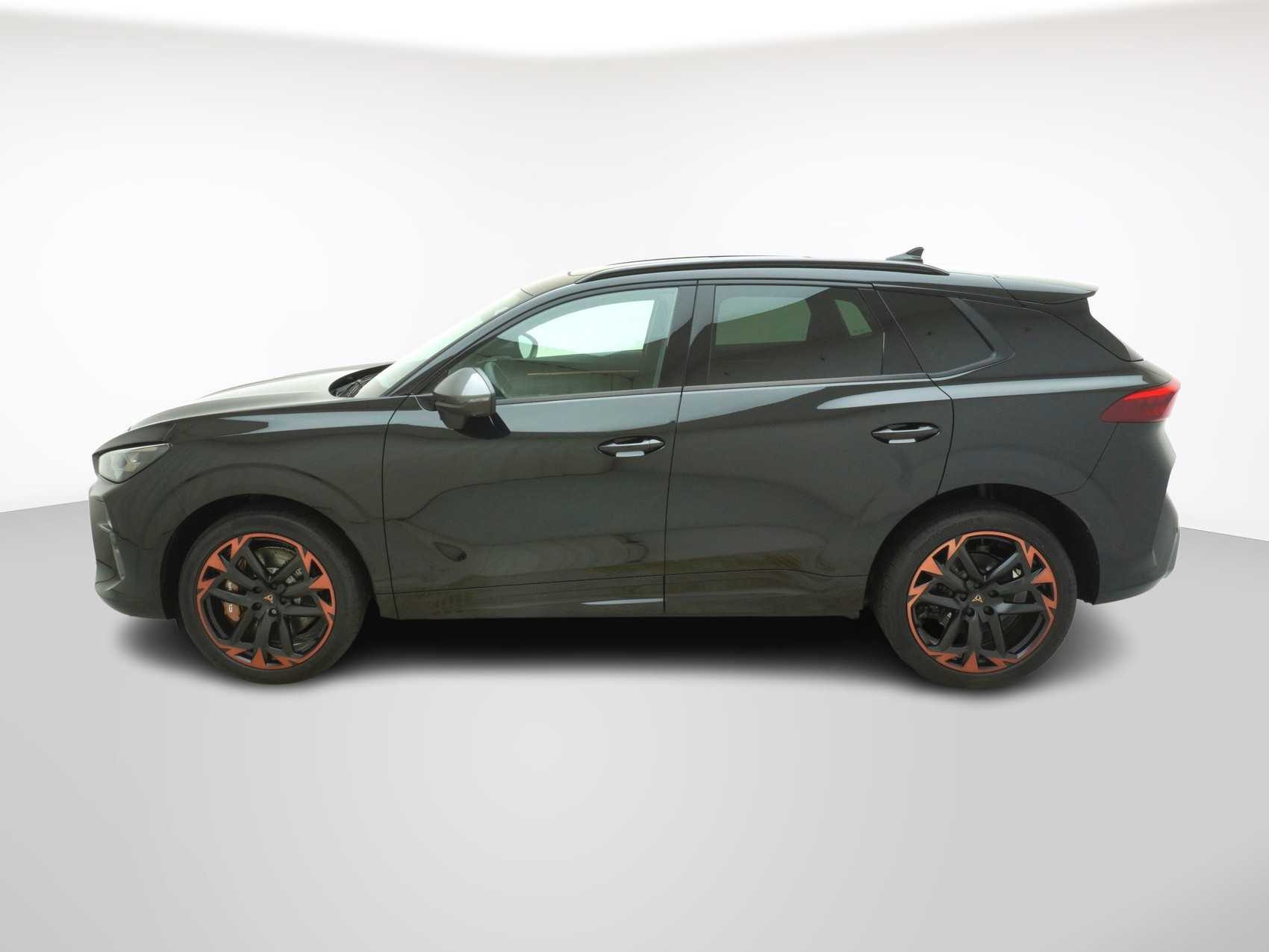 CUPRA Terramar 2.0 TSI VZ Performance 4Drive DSG-image-1