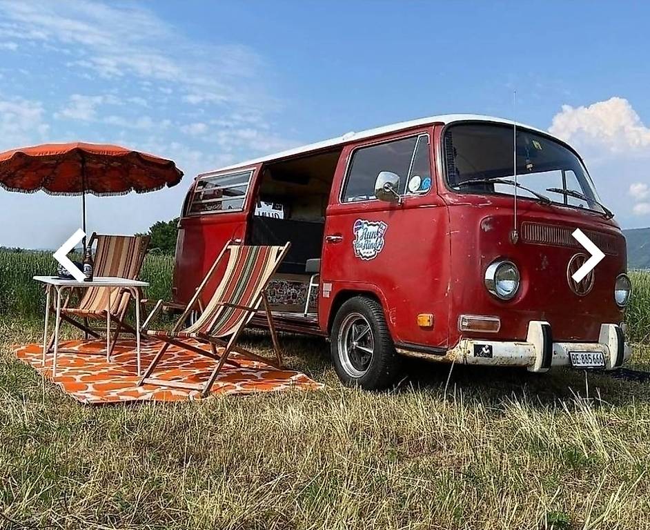 VW T2-image-1