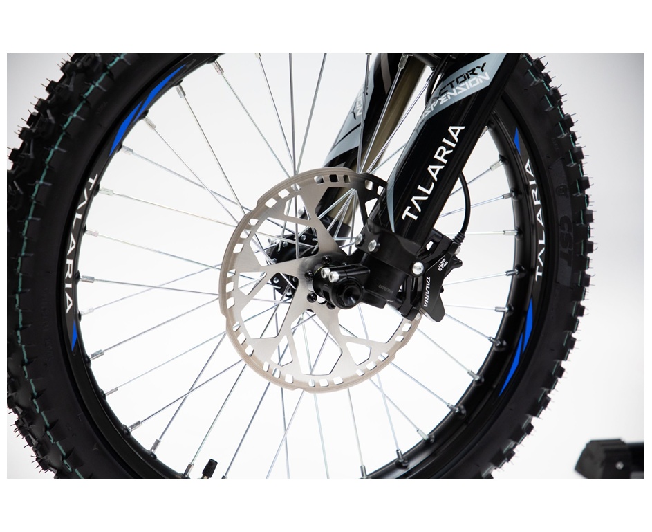 TALARIA Sting R L1e-image-7