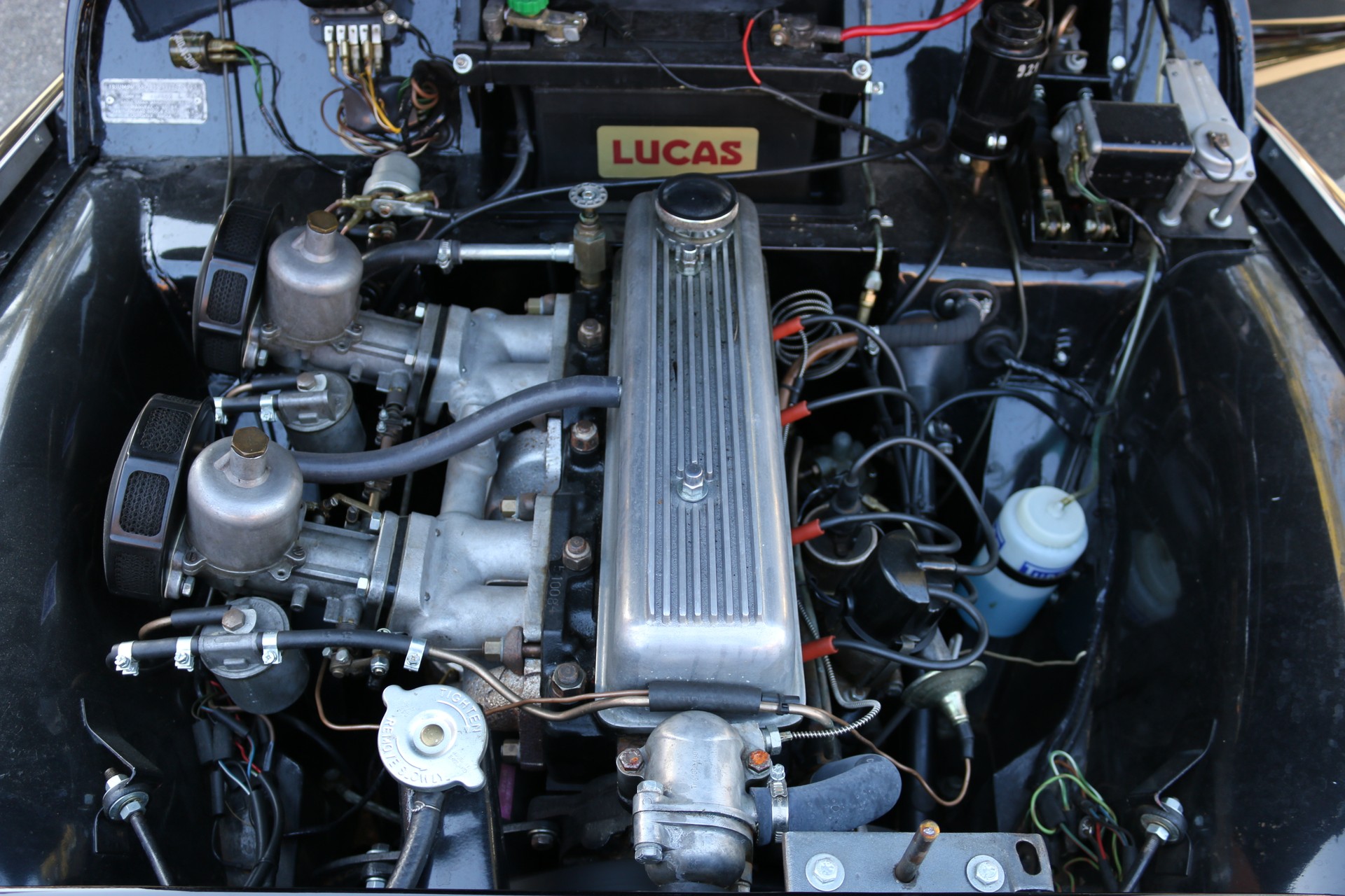 TRIUMPH TR 3B-image-8