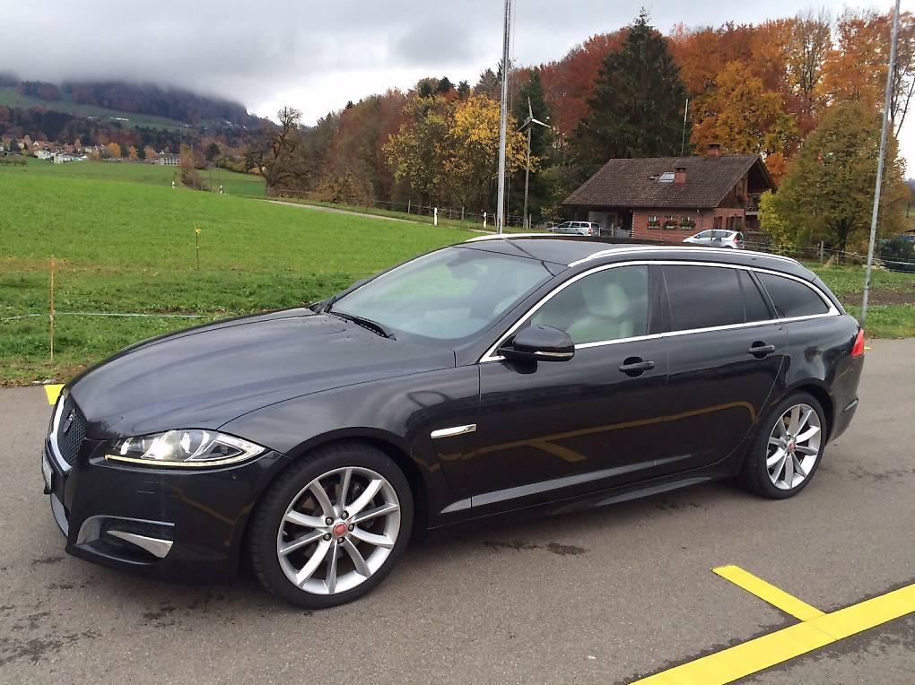 JAGUAR-image-1