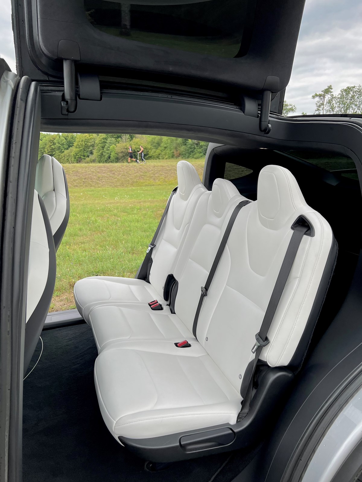 TESLA Model X 100 D-image-3