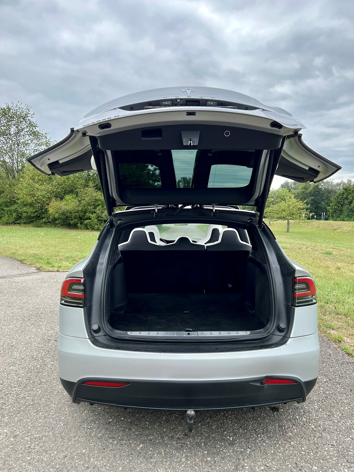 TESLA Model X 100 D-image-4
