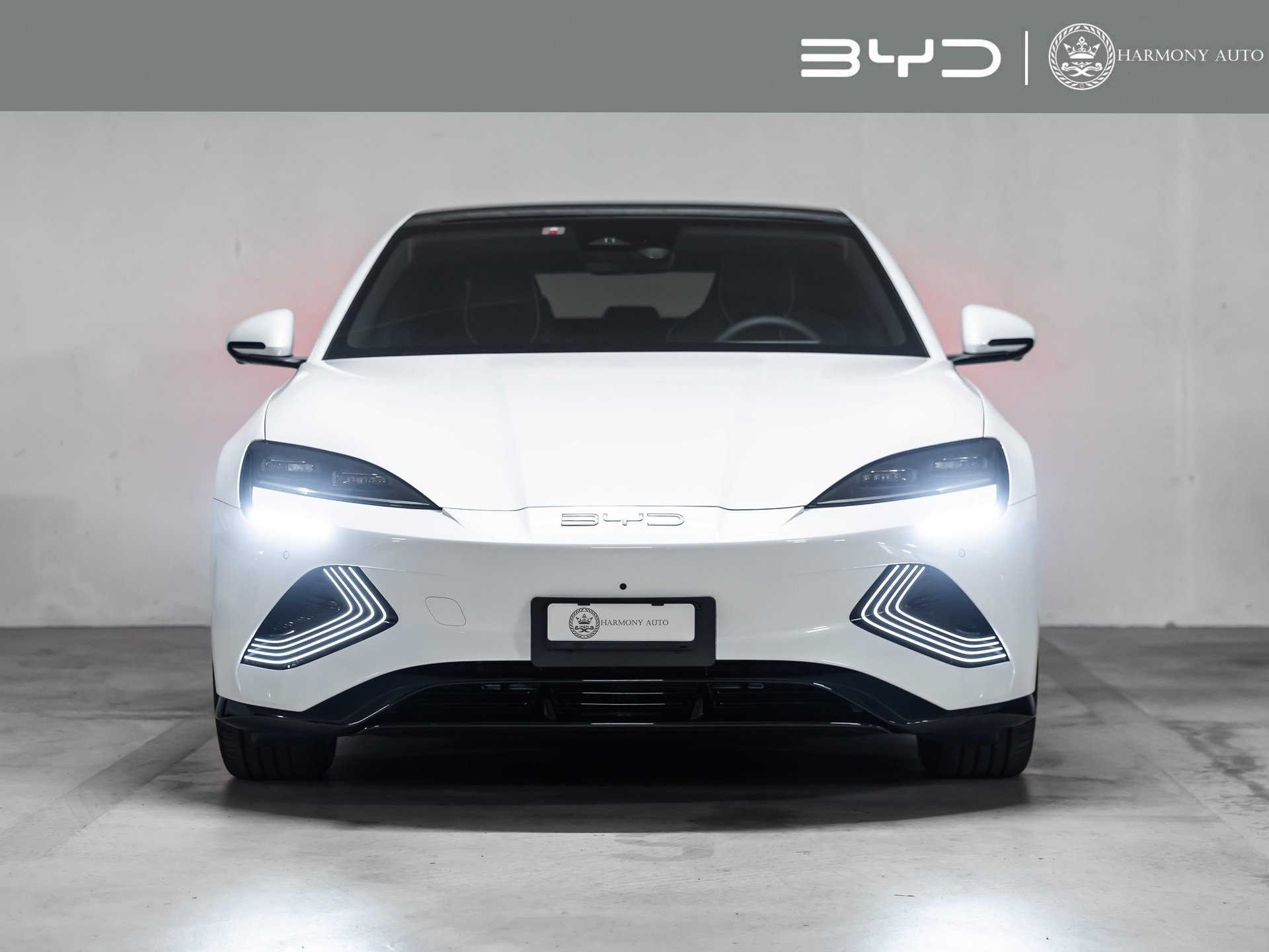 BYD Seal Excellence AWD - 530 PS-image-1