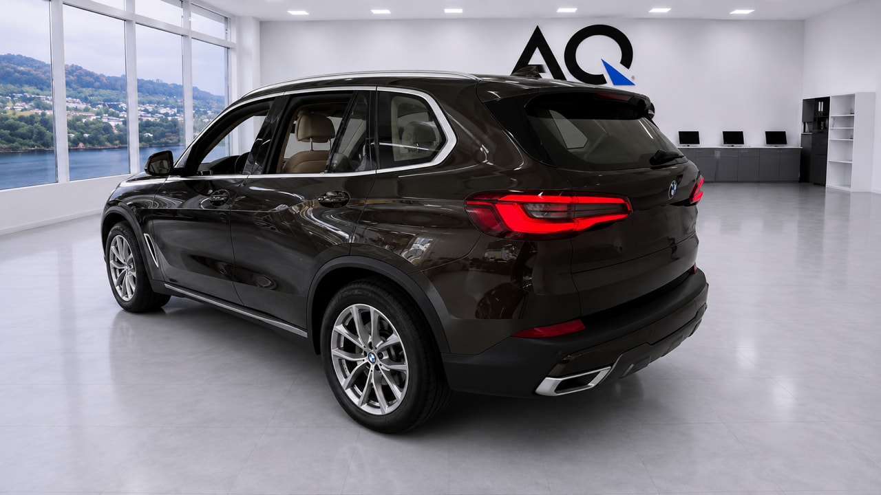 BMW X5 xDrive 30d xLine Steptronic-showroom-element-1