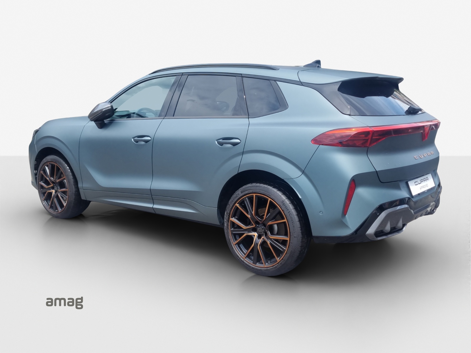 CUPRA Terramar 2.0 TSI DSG 4Drive Americas CUP-showroom-element-2