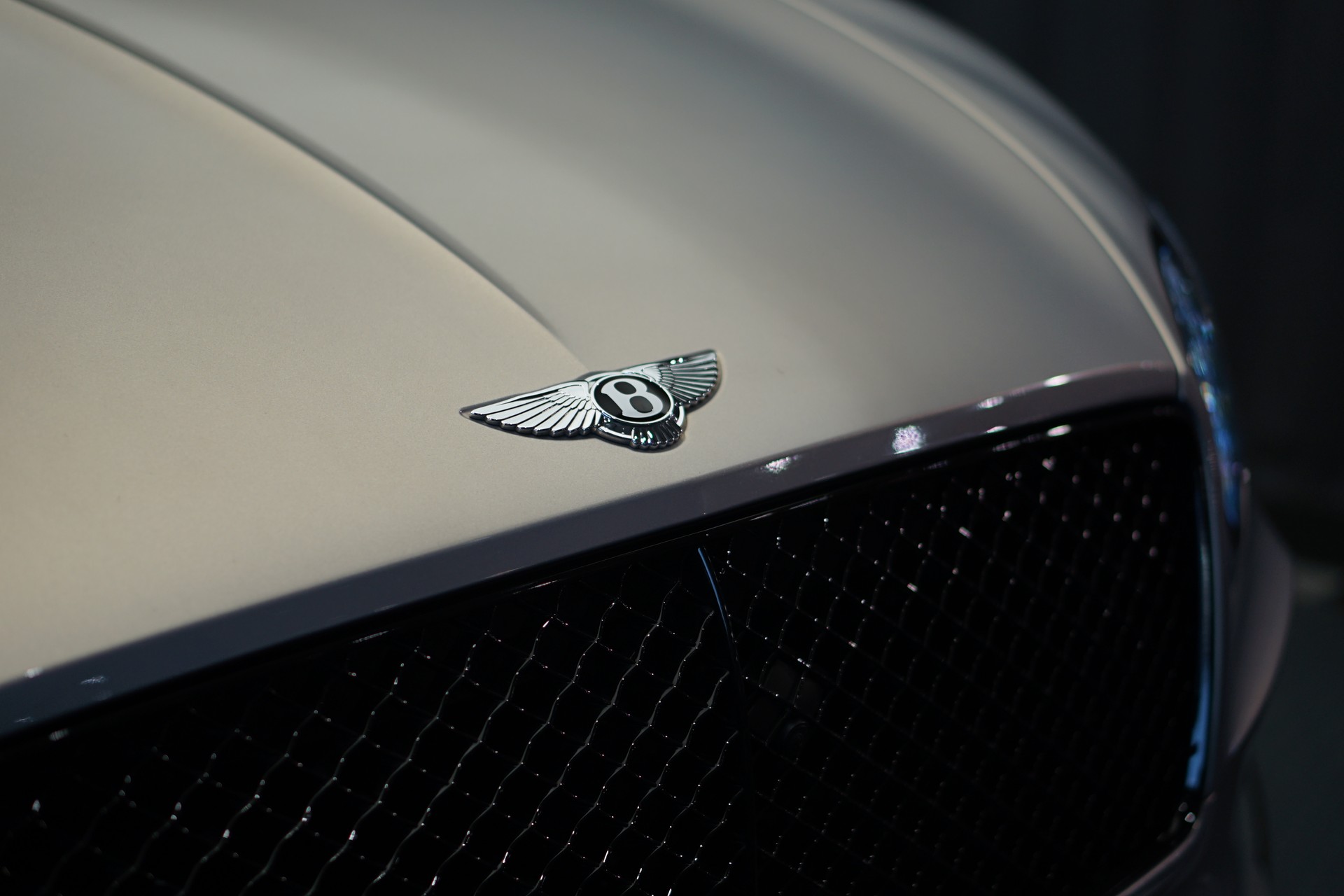 BENTLEY Continental GT 4.0 V8 *Naim* *Touring Spec* *Panoramadach*-image-35