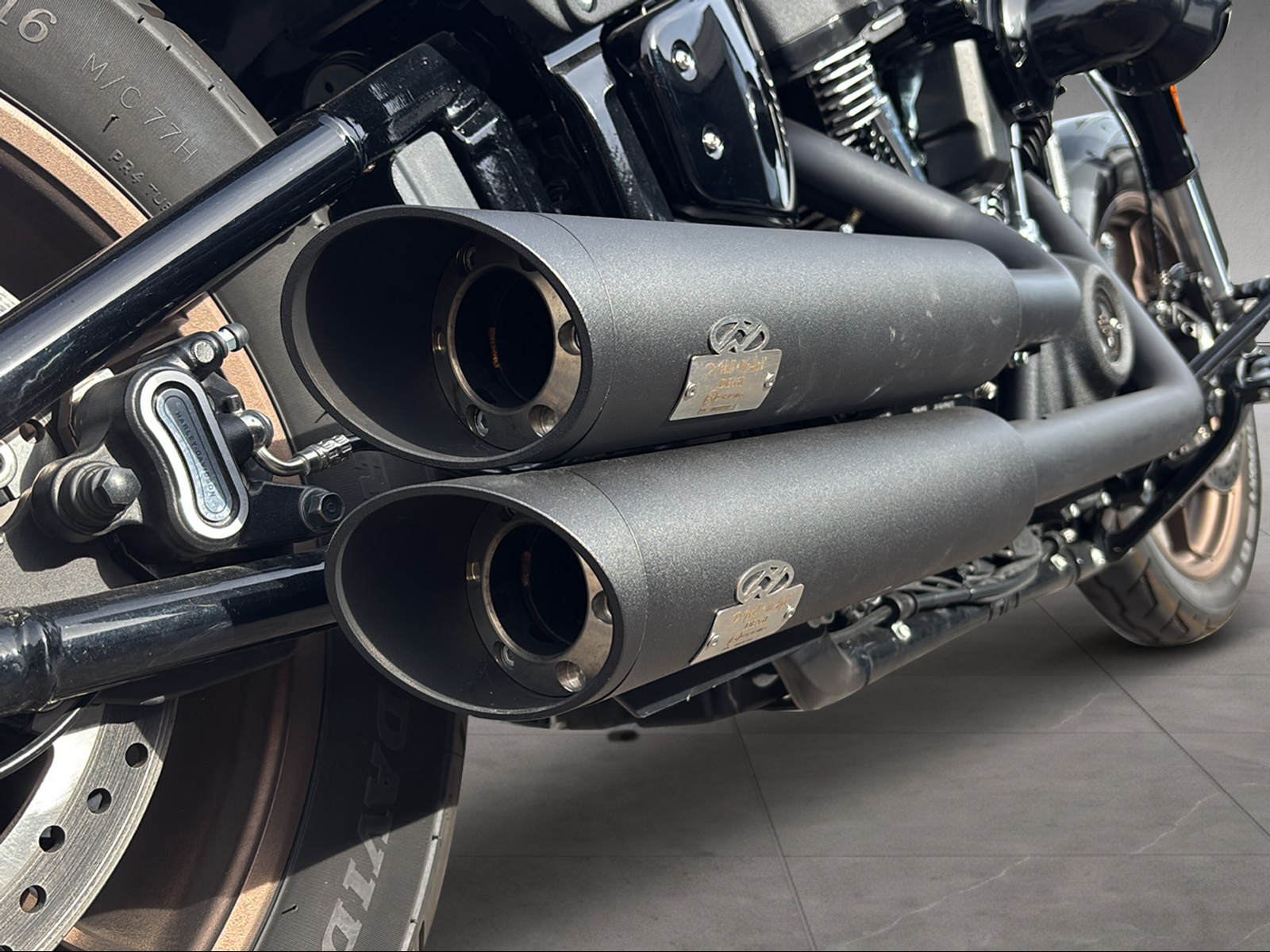 HARLEY-DAVIDSON FXLRS Low Rider S 117-image-6