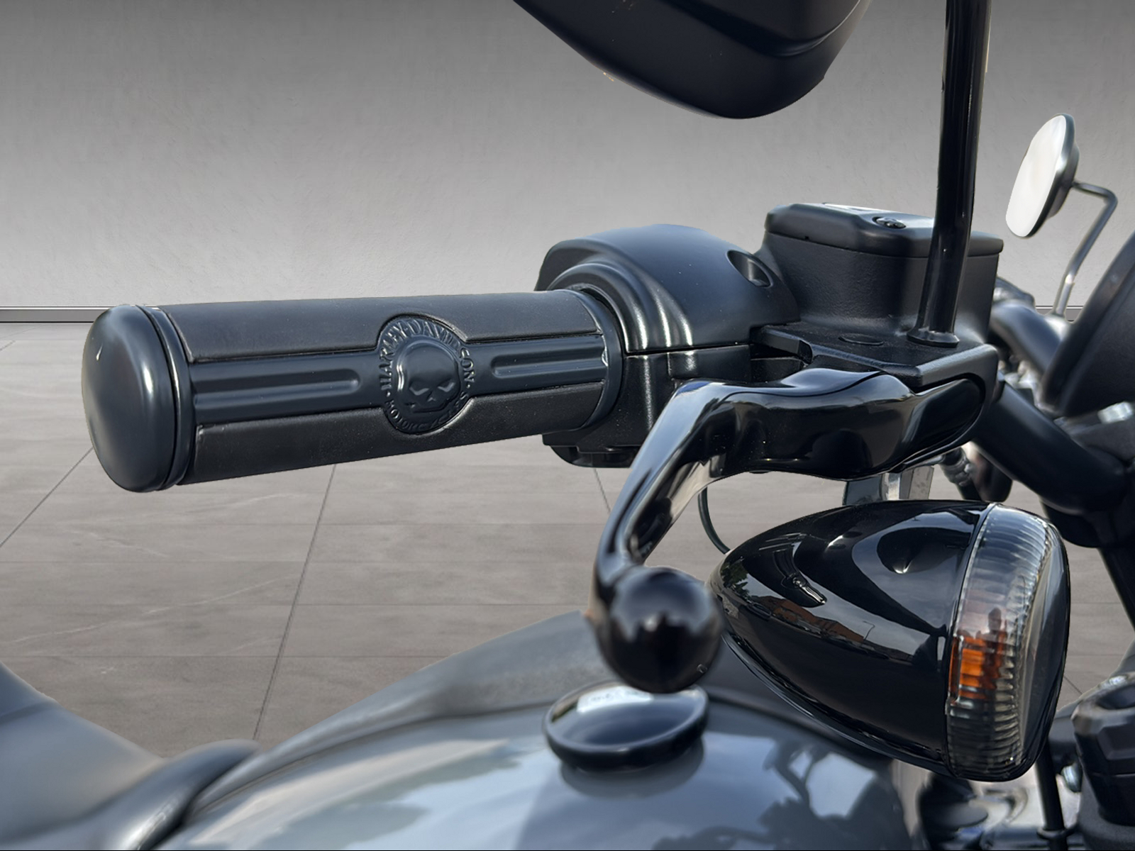 HARLEY-DAVIDSON FXLRS Low Rider S 117-image-8