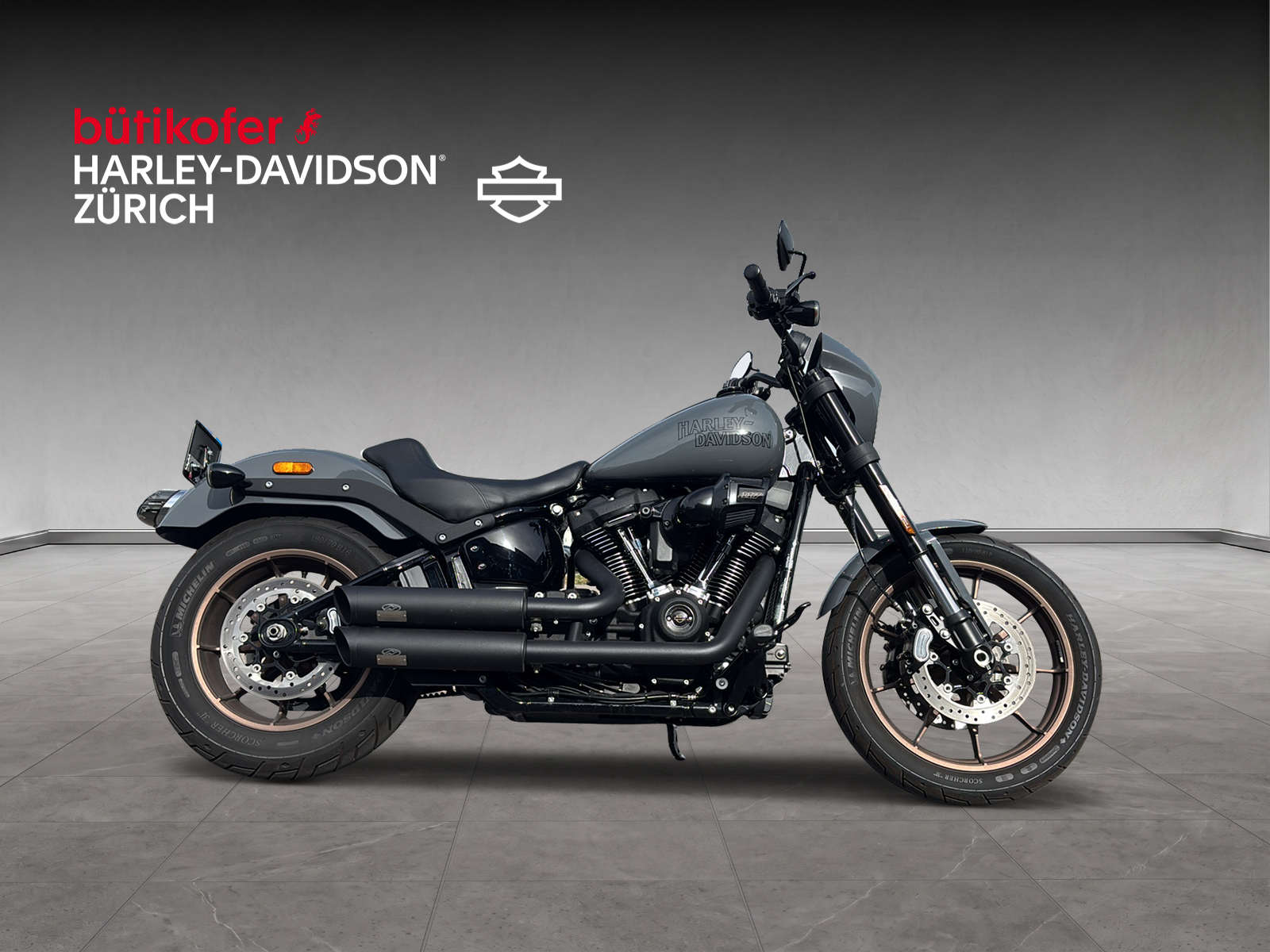 HARLEY-DAVIDSON FXLRS Low Rider S 117