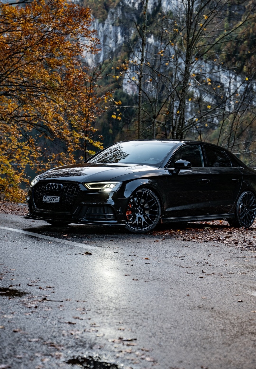 AUDI Limousine-image-5