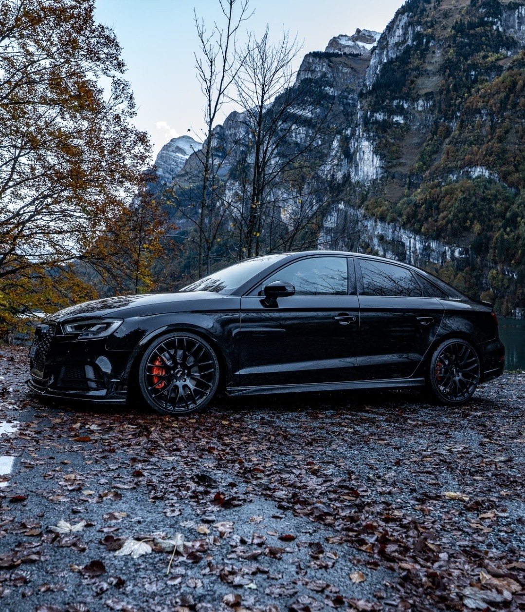 AUDI Limousine-image-0