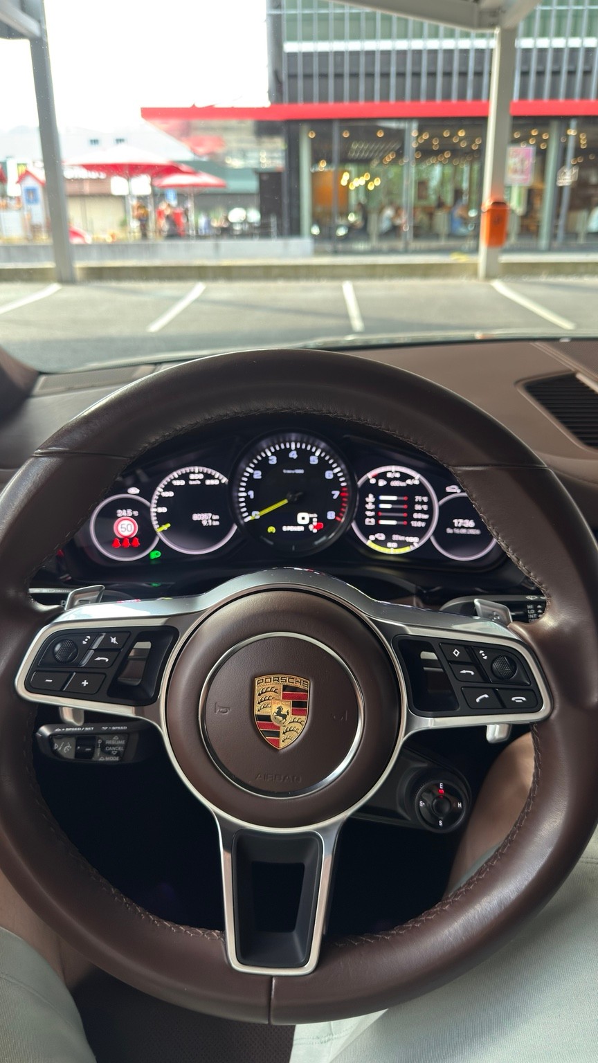 PORSCHE 3.0 V6 E-Hybrid Platinum Edition-image-8