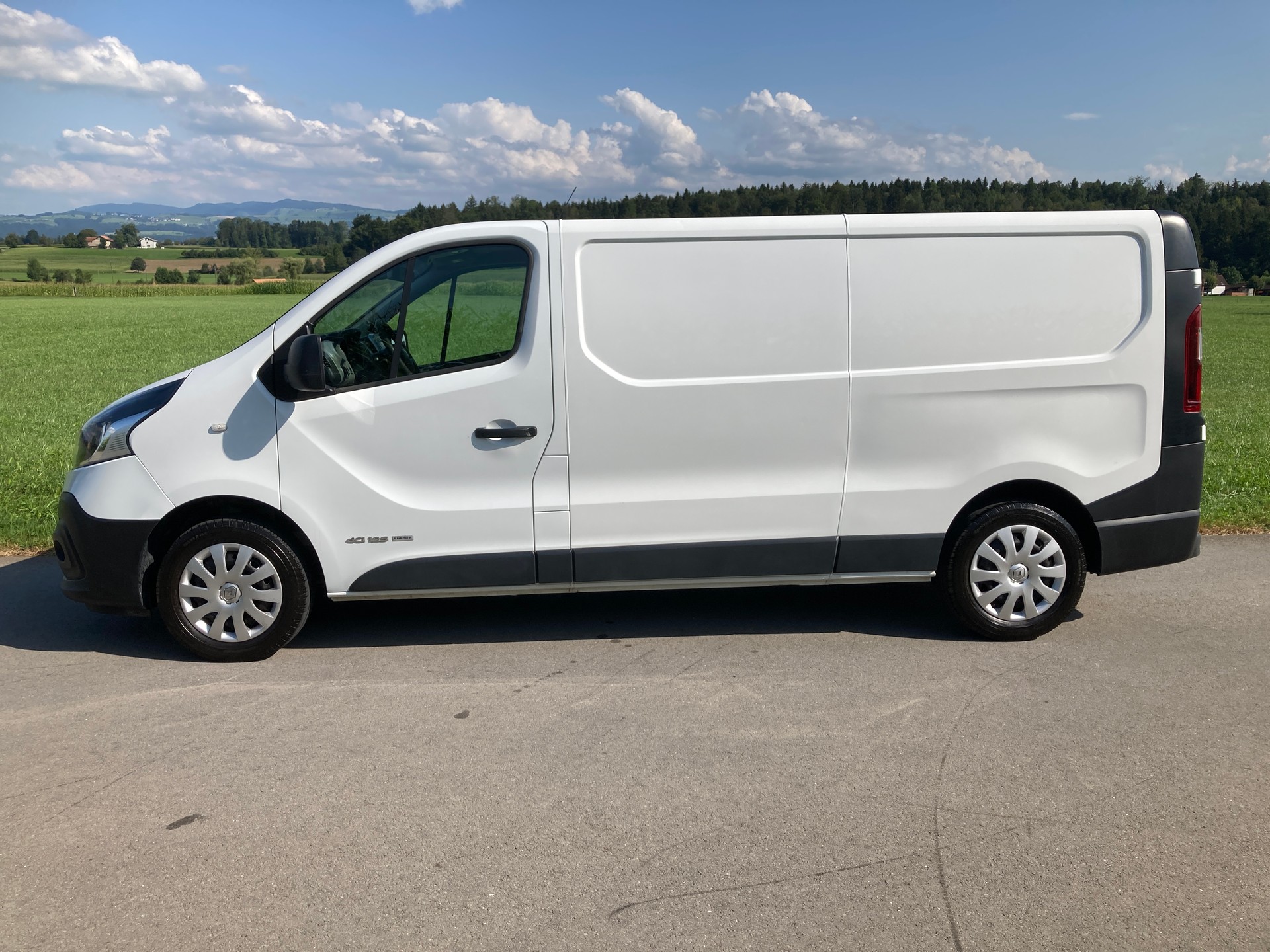 RENAULT Trafic 1.6 ENERGY TwinT. dCi125 2.9t Business L2H1-image-4
