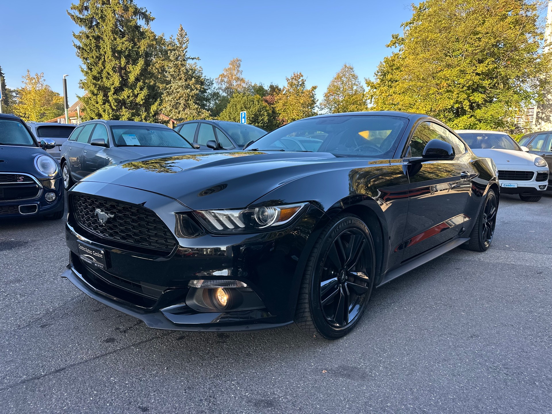 FORD Mustang Fastback 2.3-image-2